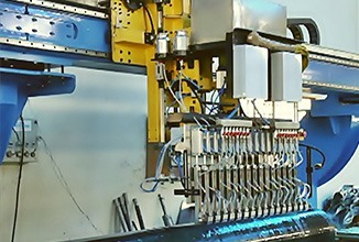 ERW身体检查系统