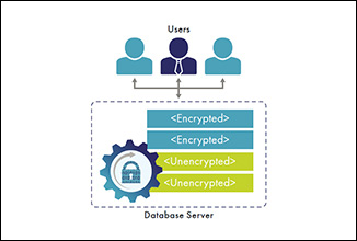 实时数据转换扩展