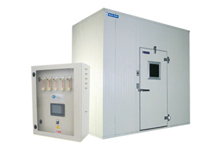 香蕉成熟的冷房间